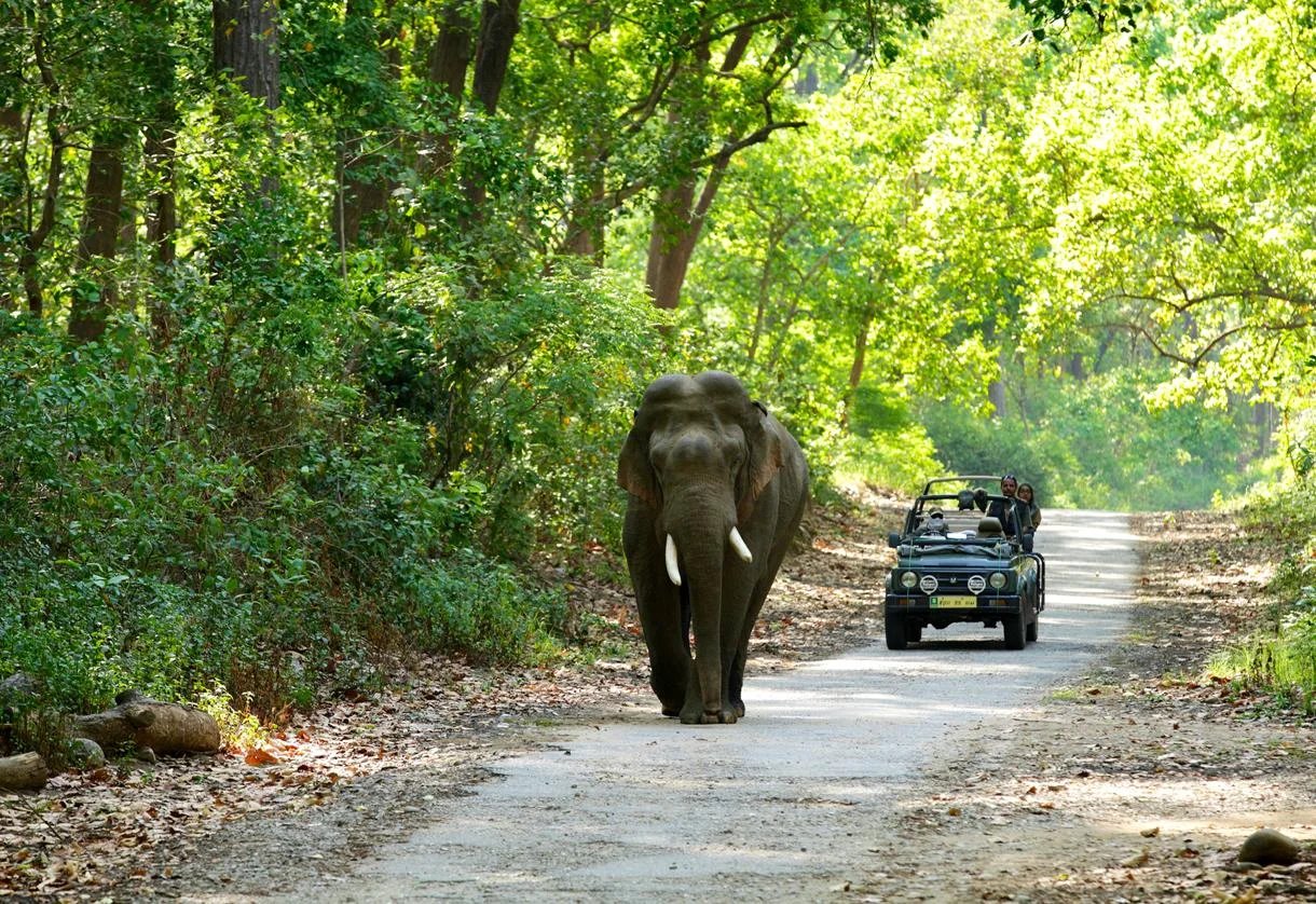 Corbett Safari Tour
