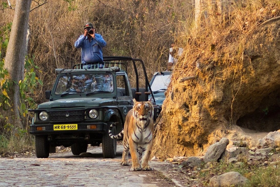 Dhikala Tourism Packages