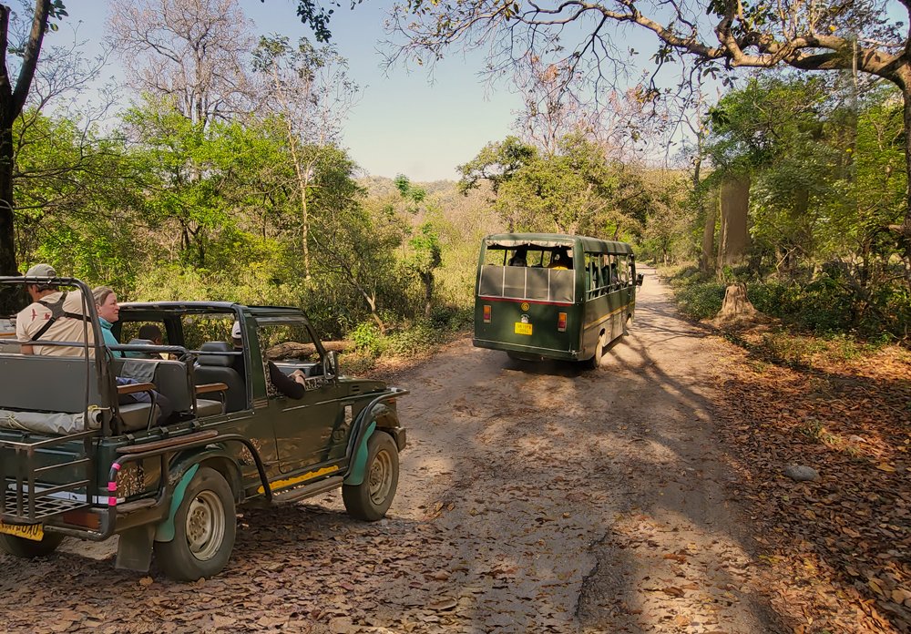 Dhikala Zone in Jim Corbett National Park