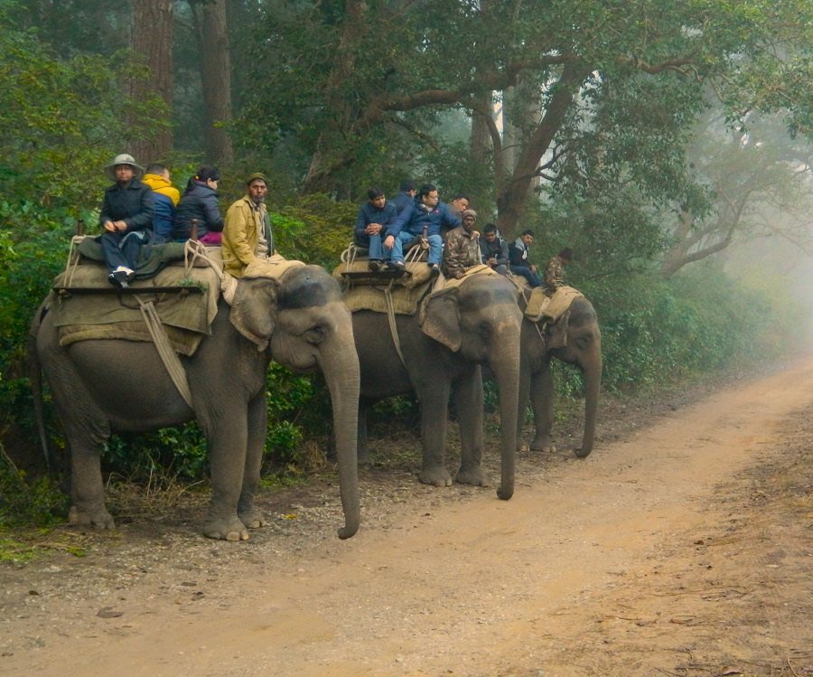 Pawalgarh Zone in Jim Corbett National Park