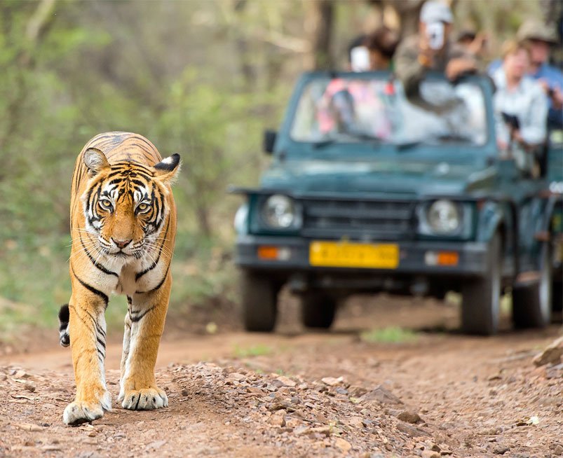 Sitabani Zone in Jim Corbett National Park